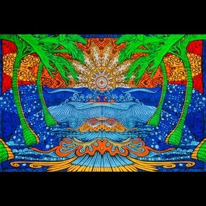 Meet your Posher, Ronnie